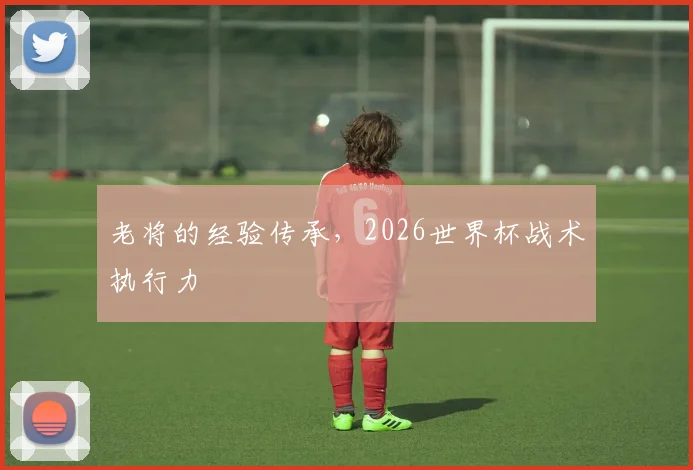 老将的经验传承，2026世界杯战术执行力