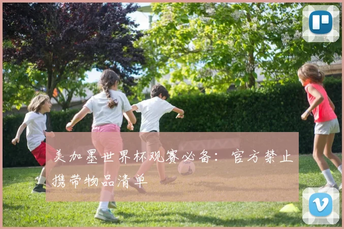 美加墨世界杯观赛必备：官方禁止携带物品清单