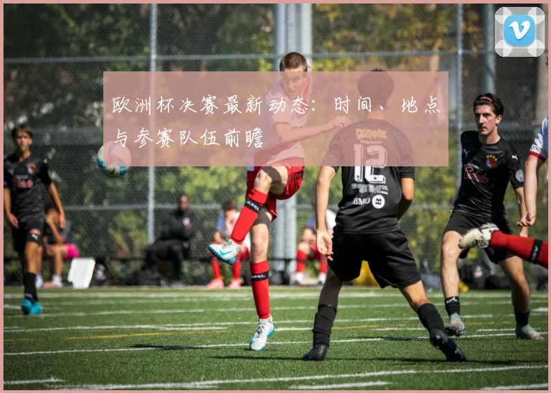 欧洲杯决赛最新动态：时间、地点与参赛队伍前瞻