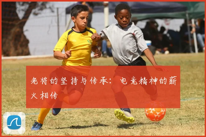 老将的坚持与传承：电竞精神的薪火相传